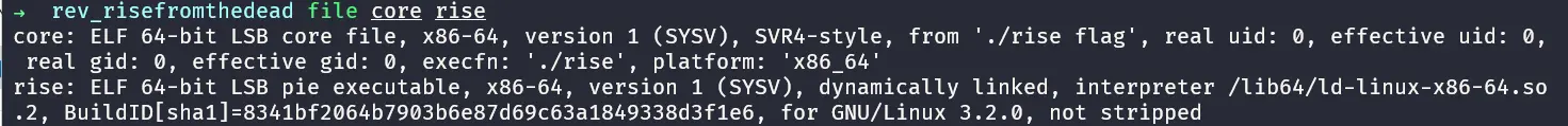 The file command identifies rise as an x86-64 PIE and core as its core dump